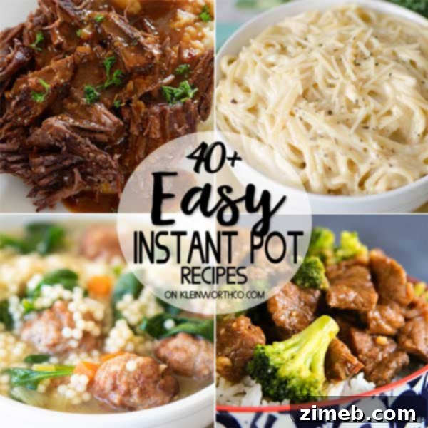 Unlock Delicious Instant Pot Pork 47 Crazy Easy Instant Pot Recipes for Beginners