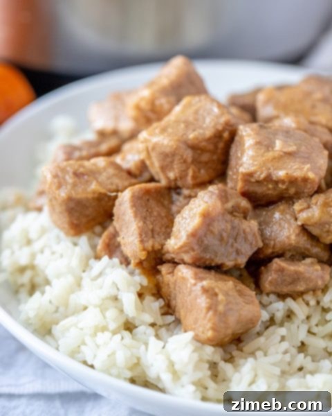 Unlock Delicious Instant Pot Pork 8 Super Easy Instant Pot Pork Adobo