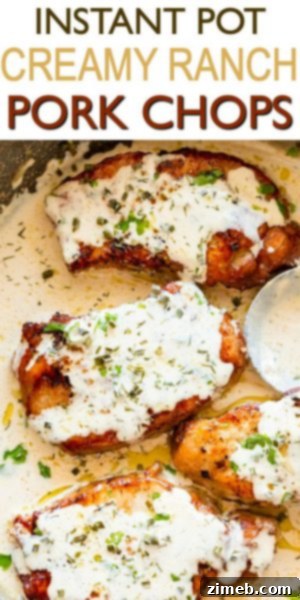 Unlock Delicious Instant Pot Pork 9 Deliciously Tender Instant Pot Pork Chops