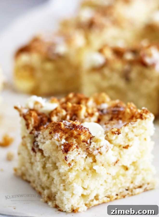 Snickerdoodle Coffee Cake recipe - a cozy breakfast treat.