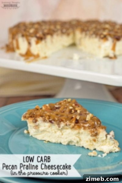 Stress-Free Thanksgiving: Pressure Cooker Feasts 30 Low Carb Pecan Praline Cheesecake (pressure cooker cheesecake recipe)