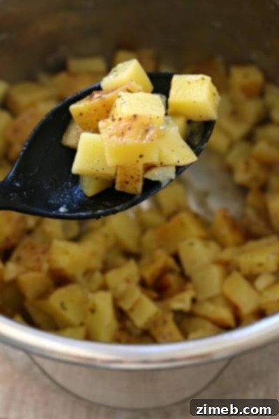 Stress-Free Thanksgiving: Pressure Cooker Feasts 38 Instant Pot Ranch Potatoes
