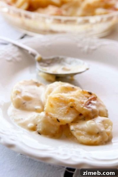 Stress-Free Thanksgiving: Pressure Cooker Feasts 10 Delicious Instant Pot Scalloped Potatoes