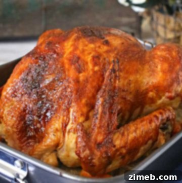 How to Roast a Turkey