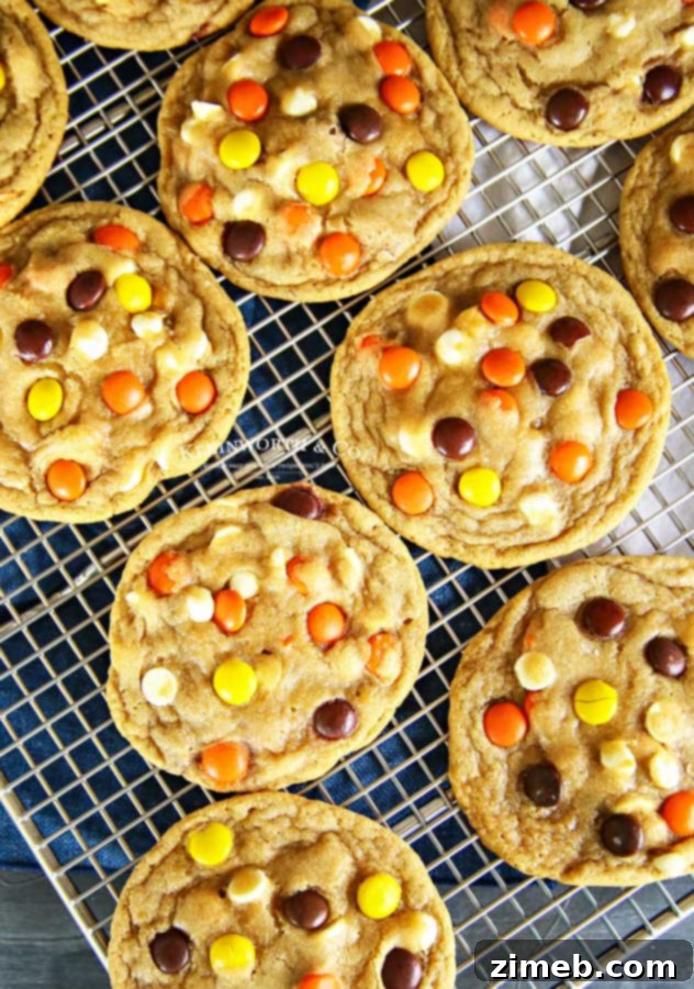 Reese's Pieces Peanut Butter Bliss Bites 4 Delicious Reese's Pieces Cookies - a family favorite recipe