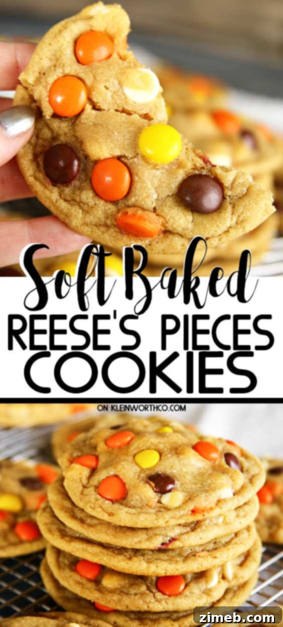Reese's Pieces Peanut Butter Bliss Bites 5 Soft Baked Reese's Pieces Cookies - chewy and easy to make