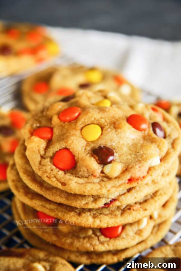 Reese's Pieces Peanut Butter Bliss Bites 6 Soft Baked Reese's Cookies - a delightful peanut butter treat