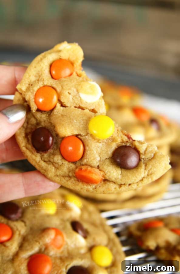 Reese's Pieces Peanut Butter Bliss Bites 7 Reese's Pieces Cookies - a peanut butter candy cookie recipe