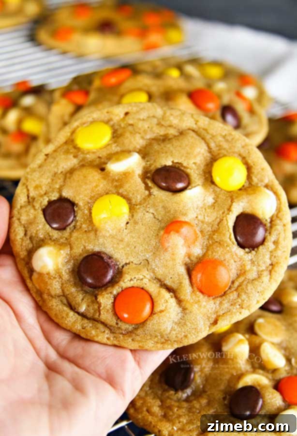 Reese's Pieces Peanut Butter Bliss Bites 8 Soft Baked Cookies - a perfect texture every time