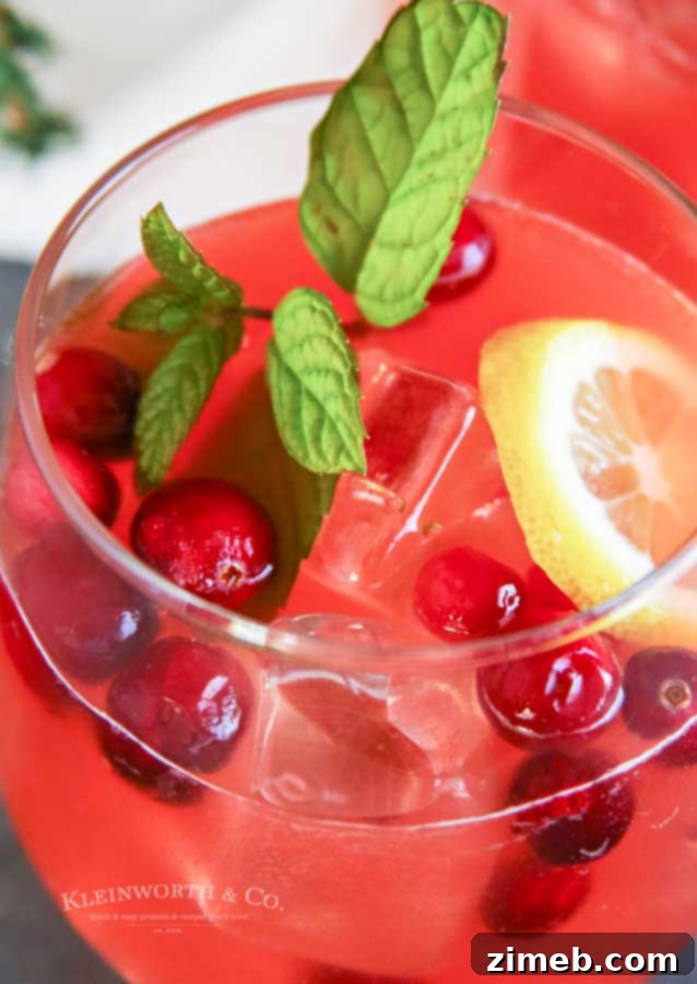 Holiday Party Punch with Rum, a spiked version for adult celebrations.