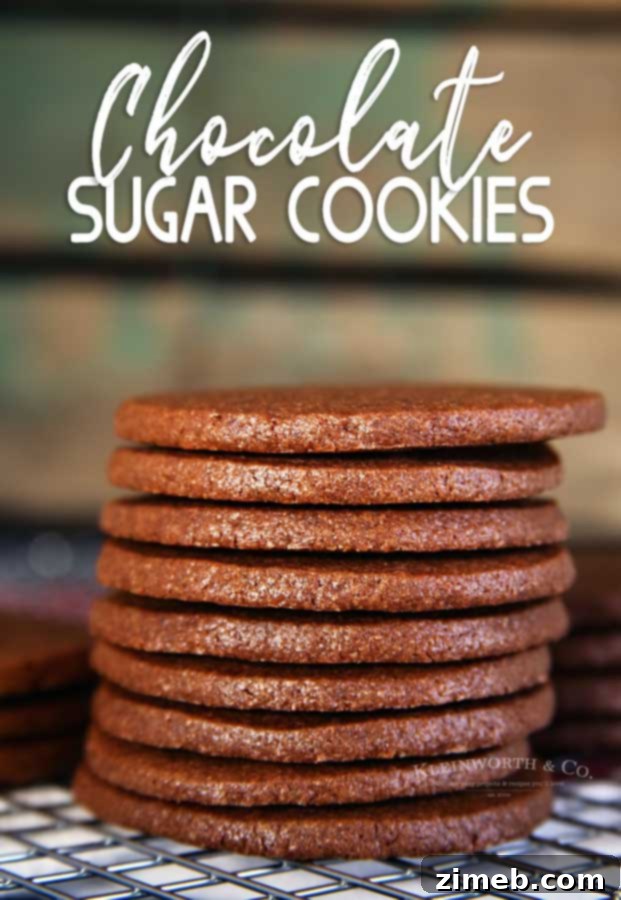 Rich Cocoa Sugar Cookies 16 Chocolate Sugar Cookies - finished and frosted