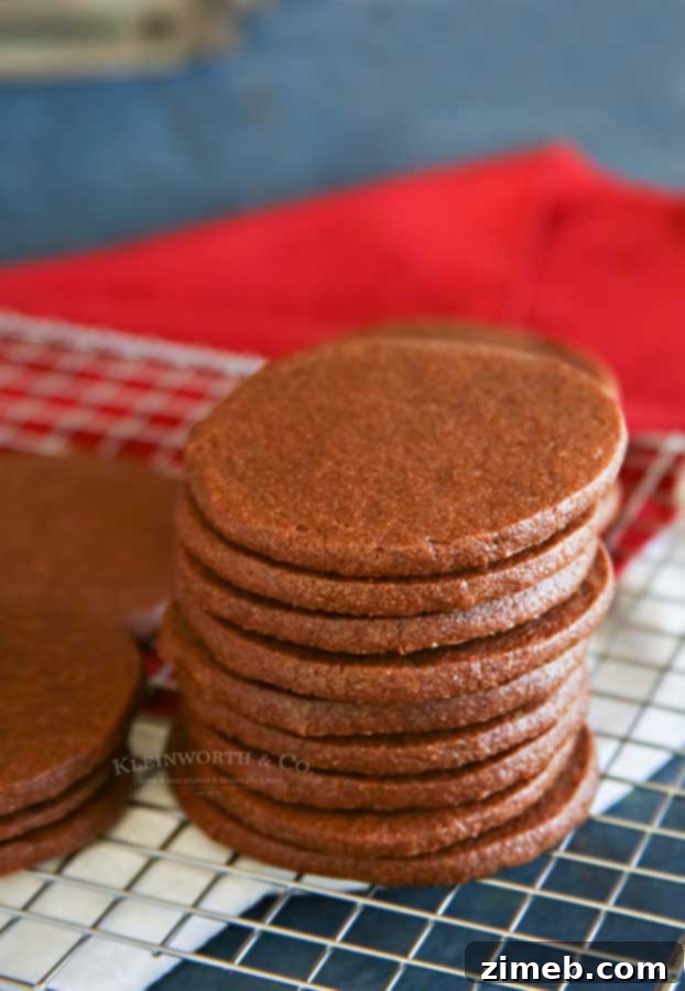 Rich Cocoa Sugar Cookies 6 holiday cookies - Chocolate Sugar Cookies with festive icing