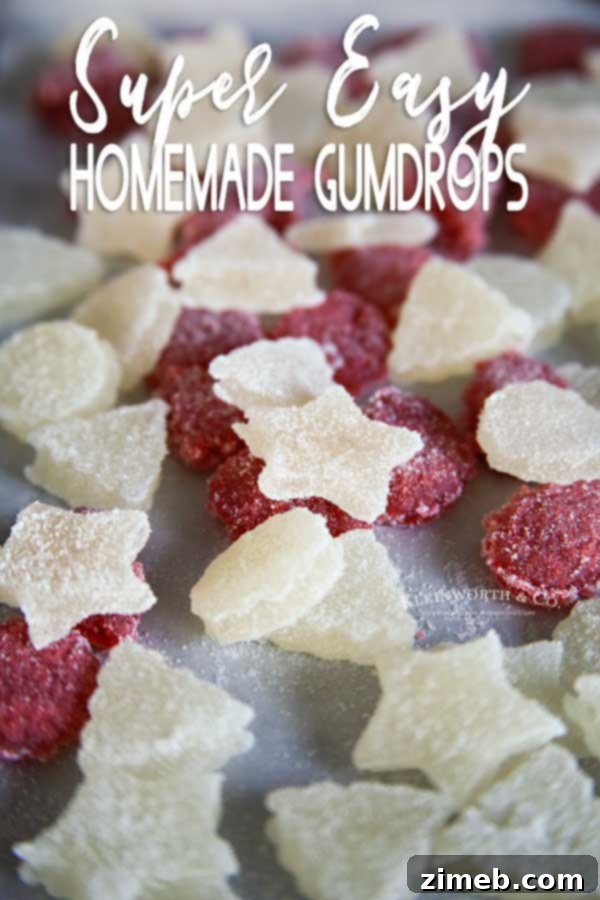 Chewy Gems 19 Easy Homemade Gumdrops, a delightful holiday treat