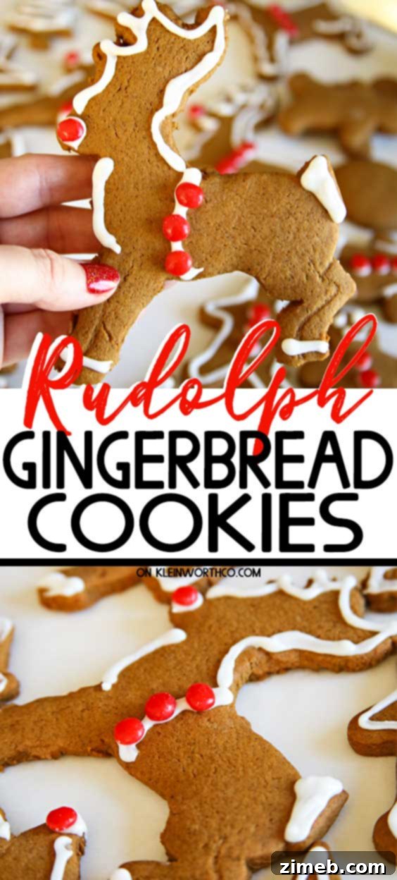 Rudolph's Red-Nosed Gingerbread Cookies 2 Rudolph Gingerbread Cookies - soft and chewy holiday treats
