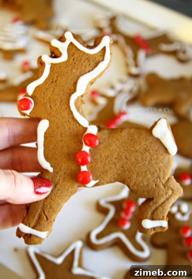 Rudolph's Red-Nosed Gingerbread Cookies 11 How to make Rudolph Gingerbread Cookies step by step