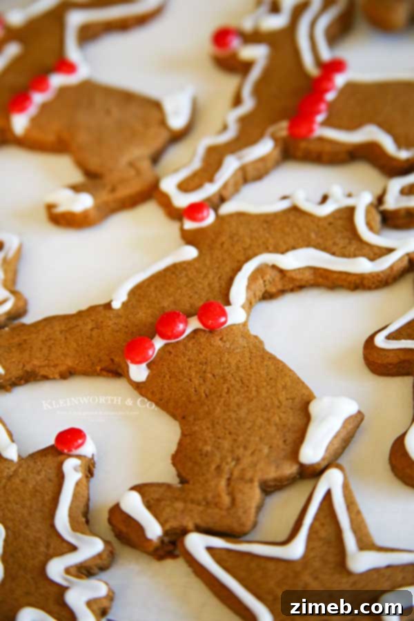 Rudolph's Red-Nosed Gingerbread Cookies 12 Rudolph Gingerbread Cookies Recipe - family favorite