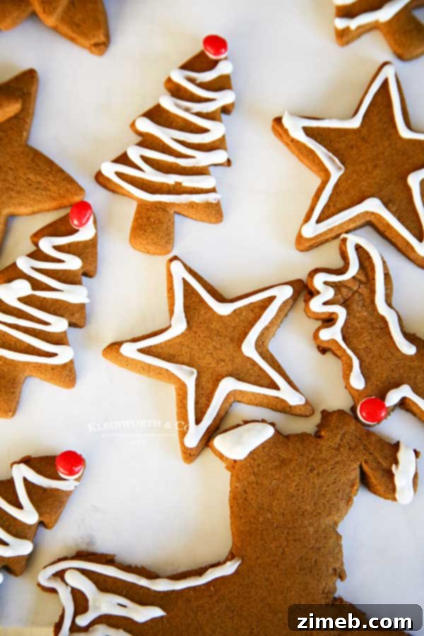 Rudolph's Red-Nosed Gingerbread Cookies 3 Best Gingerbread Cookies recipe for the holidays