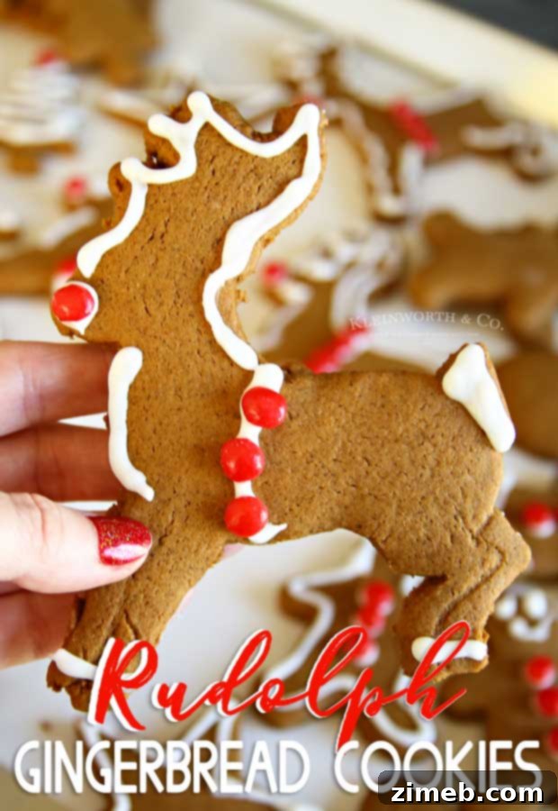 Rudolph's Red-Nosed Gingerbread Cookies 24 Rudolph Gingerbread Cookies finished and decorated
