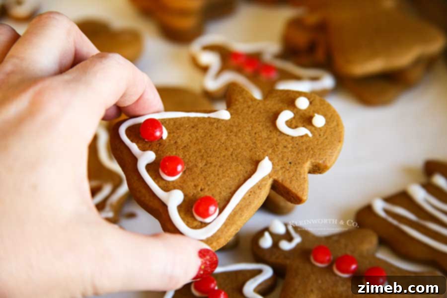 Rudolph's Red-Nosed Gingerbread Cookies 4 Gingerbread Girls with simple white icing