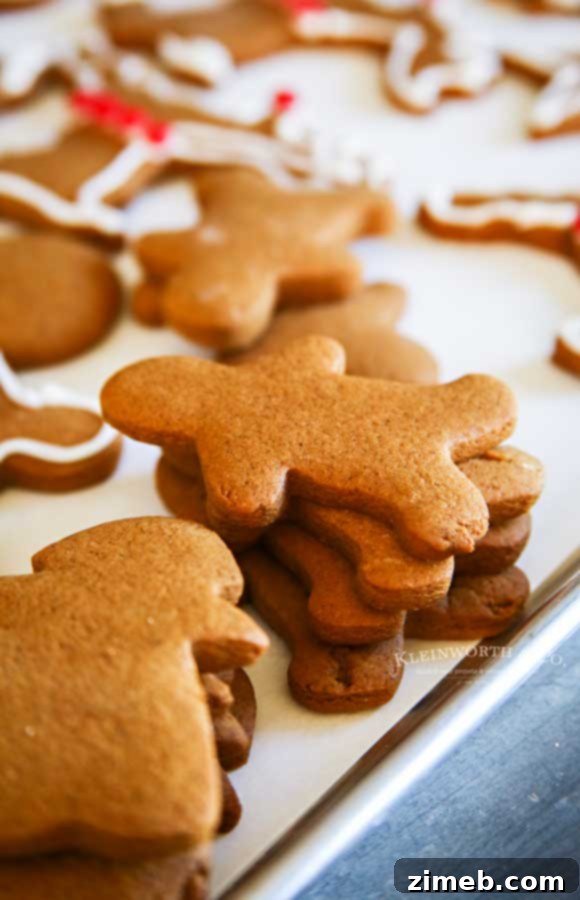 Rudolph's Red-Nosed Gingerbread Cookies 7 Unfrosted gingerbread men cookies