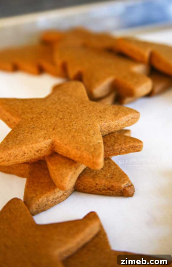 Rudolph's Red-Nosed Gingerbread Cookies 8 Unfrosted Gingerbread Stars ready for decorating