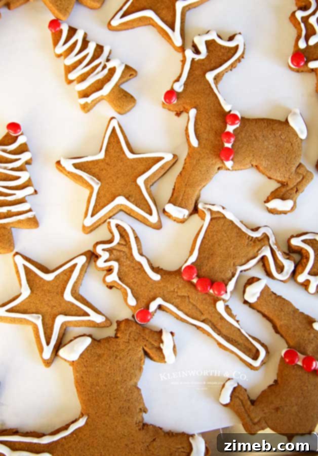 Rudolph's Red-Nosed Gingerbread Cookies 10 Assorted Gingerbread Cookies for Christmas