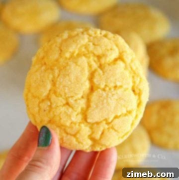Soft & Chewy Eggnog Cookies