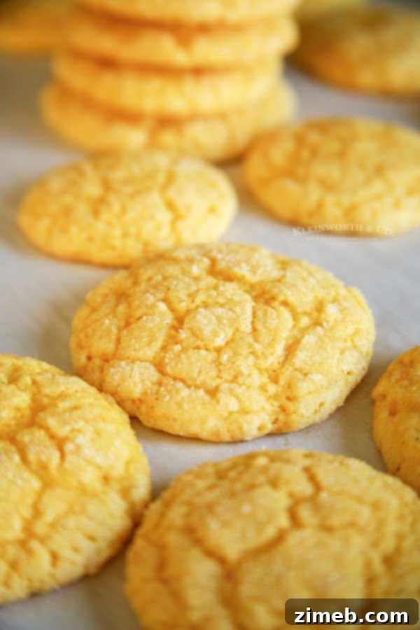 Best Recipe for Eggnog Cookies - a festive holiday treat