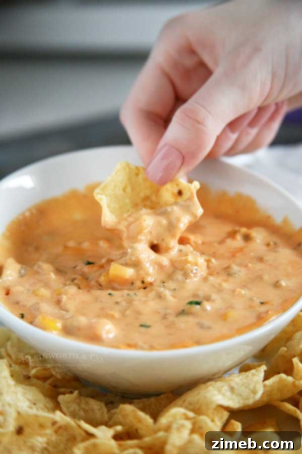 Appetizer - Creamy Sausage Cheese Dip