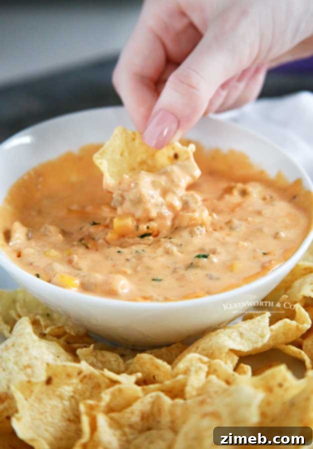 Party Appetizer - Savory Sausage Cheese Dip