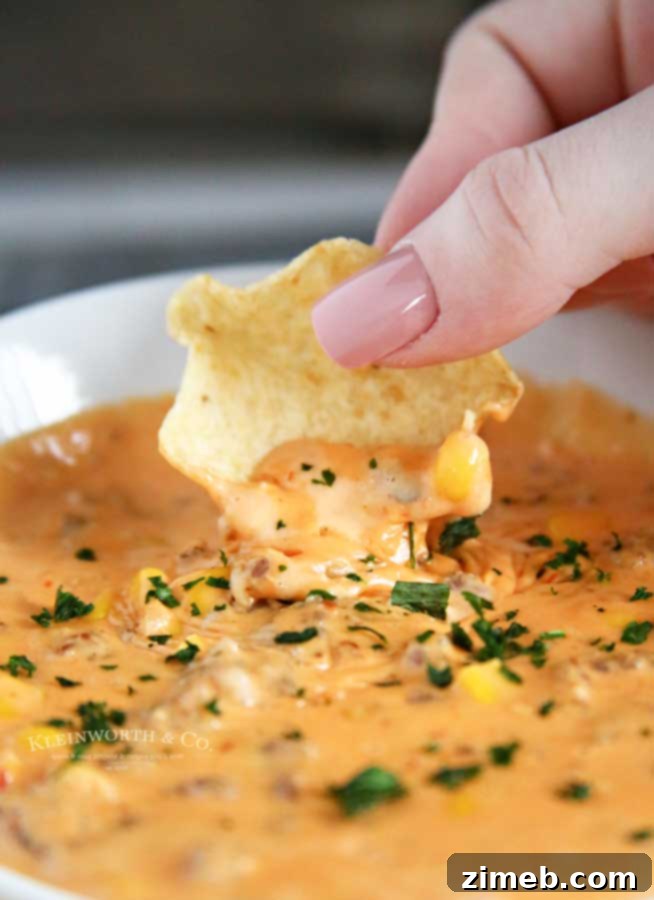 Holiday Party - Creamy Velveeta Cheese Dip