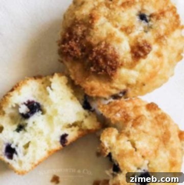 low calorie Blueberry Muffins