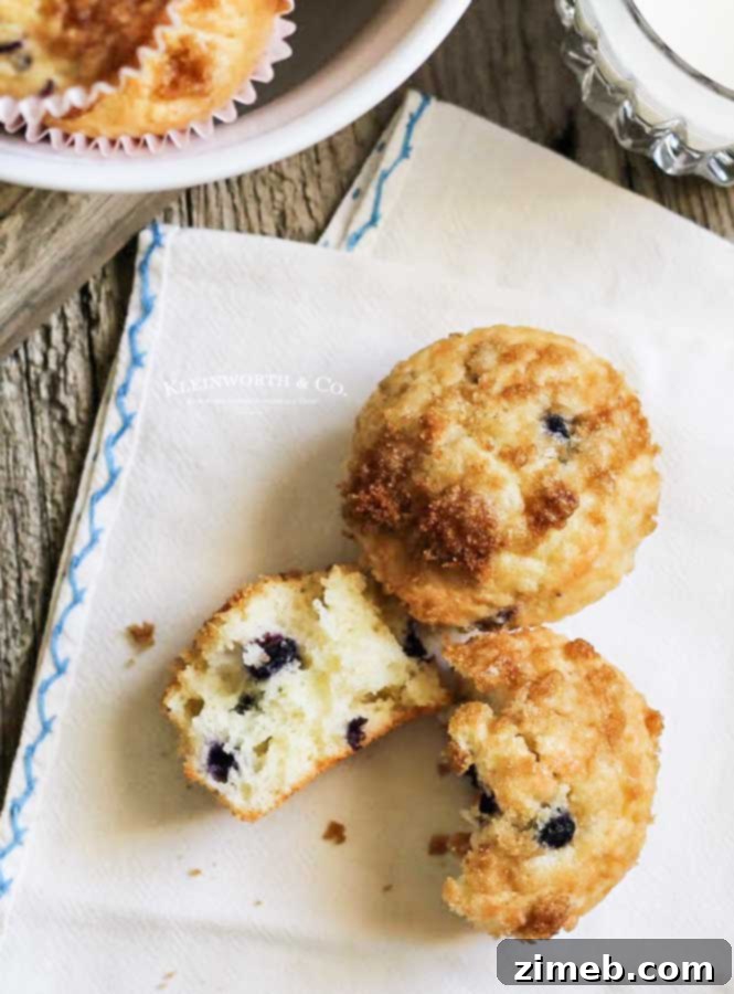 Skinny Blueberry Muffins recipe