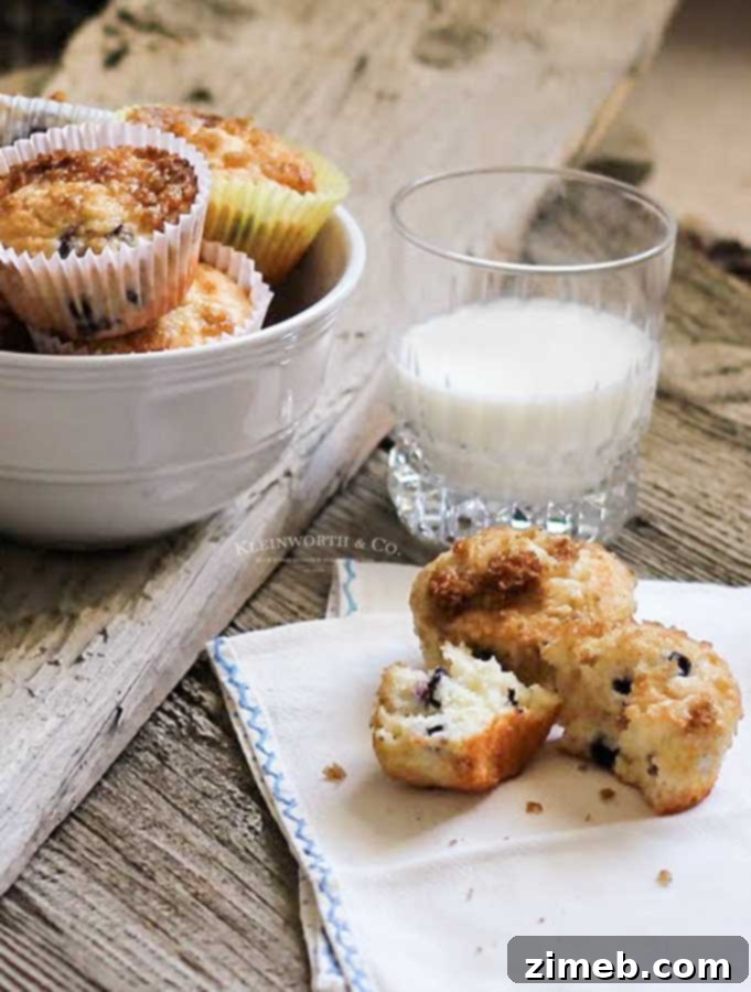 skinny breakfast - blueberry muffins