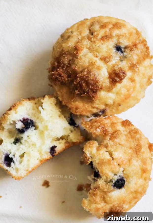 low calorie Blueberry Muffins