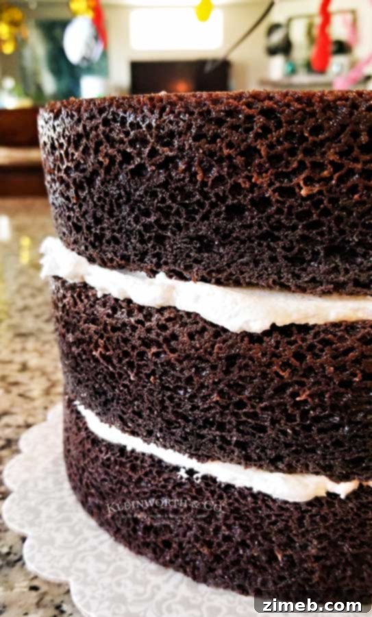 The Ultimate Chocolate Indulgence 7 3 layer cake - World's Best Chocolate Cake