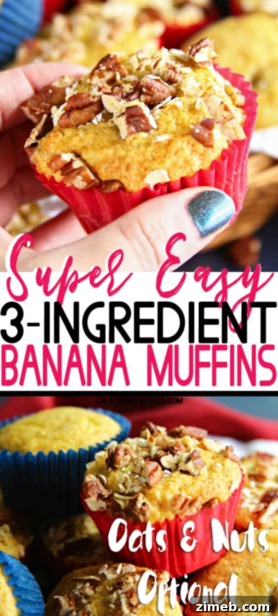 3-Ingredient Banana Muffins - Super easy homemade breakfast idea