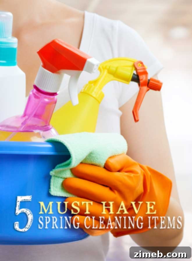 Homemade Germ Buster 7 Top 5 Must-Have Spring Cleaning Items