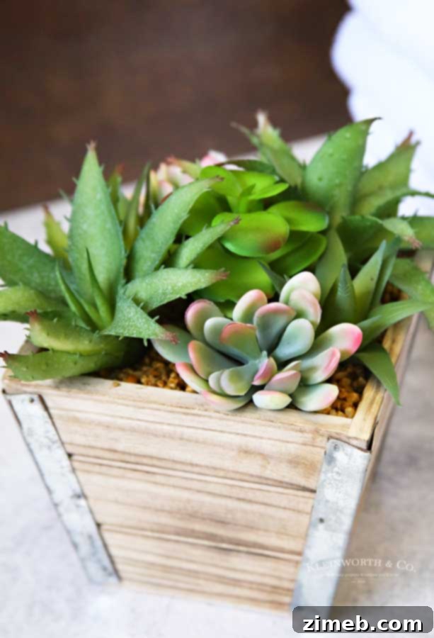 Campus Ready Essentials 5 Planter Decor - Back to School