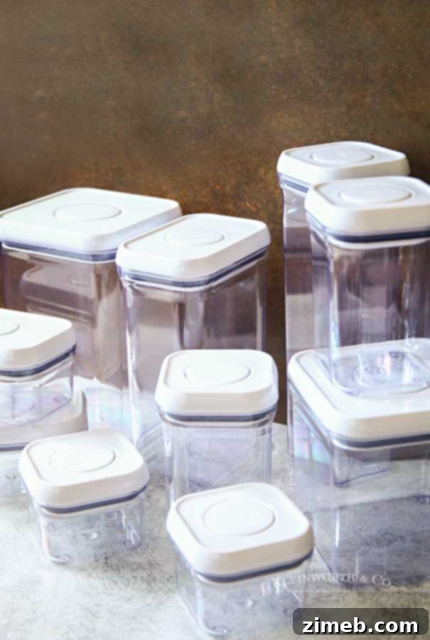 Campus Ready Essentials 10 Kitchen Storage Containers - College
