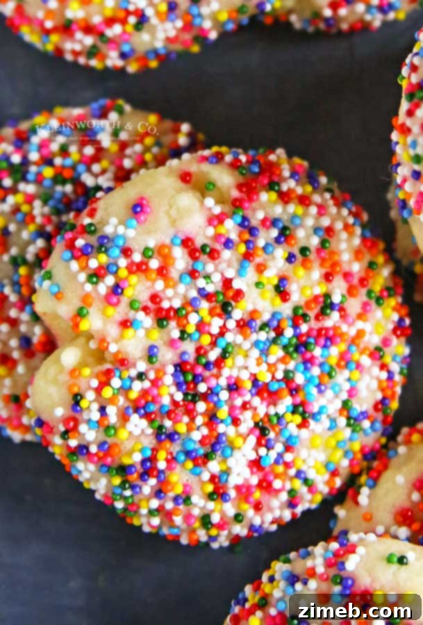 Colorful Confetti Bites 23 rainbow sprinkles
