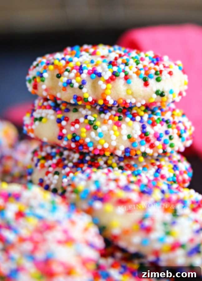 Colorful Confetti Bites 4 Celebration Cookies