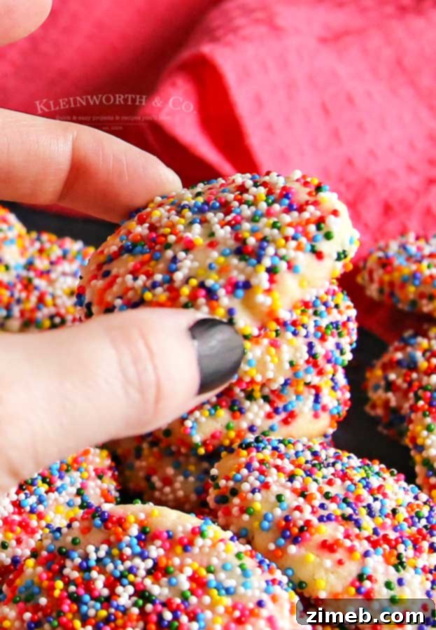 Colorful Confetti Bites 9 Soft sugar Sprinkle Cookies