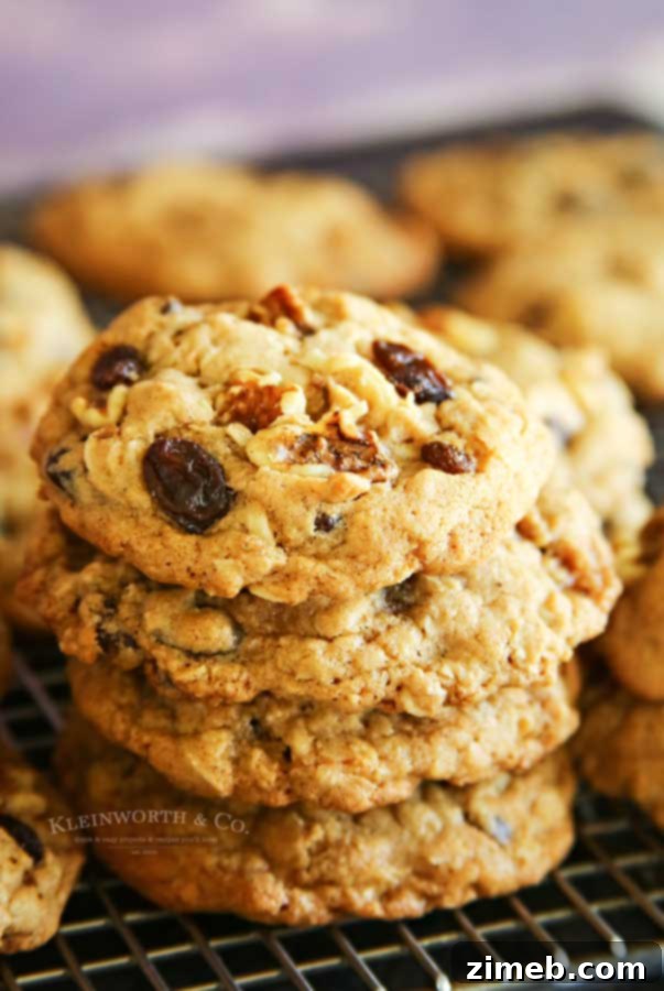 Ultimate Chewy Oatmeal Raisin Cookies 3 Oatmeal Raisin Cookies with walnuts