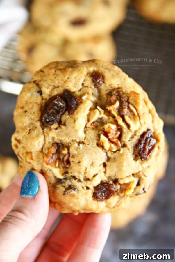 Ultimate Chewy Oatmeal Raisin Cookies 6 how to make chewy oatmeal raisin cookies