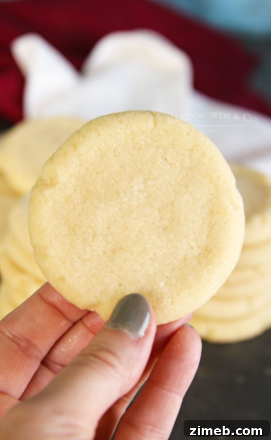 Perfect Sugar Cookies with Just 4 Ingredients 3 super easy sugar cookies without chilling or rolling, golden brown edges