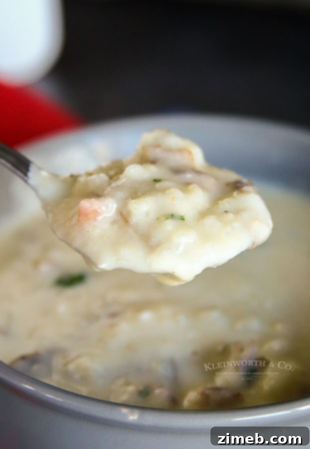 Creamy Instant Pot Potato Soup 5 Baked Potato Soup