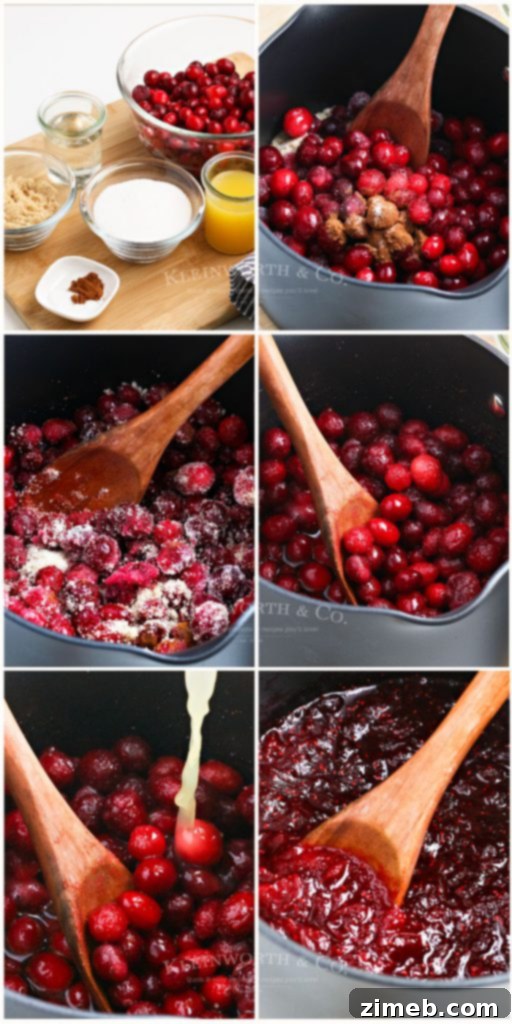 Effortless Cranberry Sauce 11 A step-by-step image showing the finished homemade cranberry sauce, perfectly set in a bowl and ready to serve.
