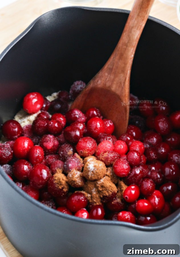 Effortless Cranberry Sauce 5 Fresh cranberries, sugars, and cinnamon being combined in a saucepan, ready to be stirred for the homemade sauce.