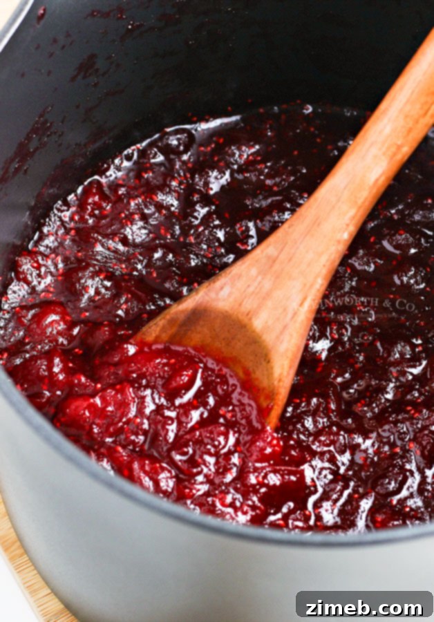 Effortless Cranberry Sauce 9 Smooth, rich pureed cranberry sauce in a serving bowl, showcasing a velvety texture ideal for elegant presentations.